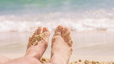 High-income Americans are expected to make up a bigger share of the traveling public this summer, 44% versus 35% in 2023.