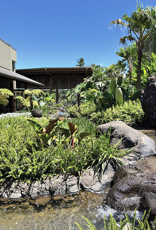 Greenery is the focal point around and inside the Kauai resort. Greenery is the focal point around and inside the Kauai resort.