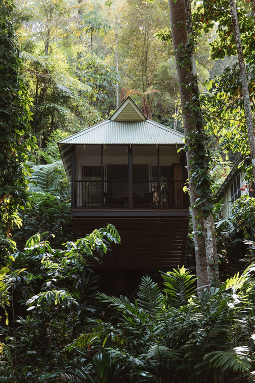Intrepid owns the 15-room Daintree Ecolodge in North Queensland, Australia. Intrepid owns the 15-room Daintree Ecolodge in North Queensland, Australia.