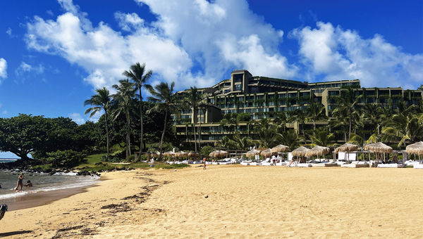 The view of the 1 Hotel Hanalei Bay from the resort's beach. The resort was repainted and covered with greenery, which helps it blend into the hillside. The view of the 1 Hotel Hanalei Bay from the resort's beach. The resort was repainted and covered with greenery, which helps it blend into the hillside.